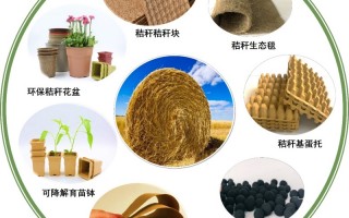 创绿科技 “吃”进树枝“吐”出宝贝 乐清农业废弃物资源化利用有新招