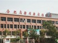 合肥81科技学校，合肥八一科技学校