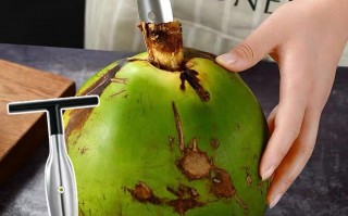 黑科技椰子 用科技撬开椰子“壳”，椰产品消费越来越火——“椰风”劲吹海南岛