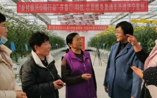 花姑娘科技 （乡村行·看振兴）江西玉山：科技赋能 持续擦亮特色“葛”品牌