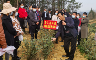 长赤科技 新年伊始走南江 特色产业名片靓