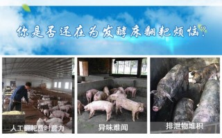 科技苑养猪发明，科技苑养猪发明人是谁