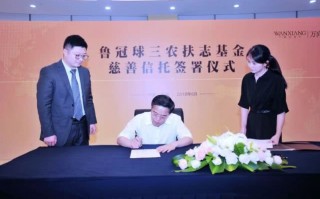 冠为科技股份有限公司 鲁伟鼎掌控下的迷局！民生人寿盈利暴跌，许可证丢失，股东频繁“跑路”